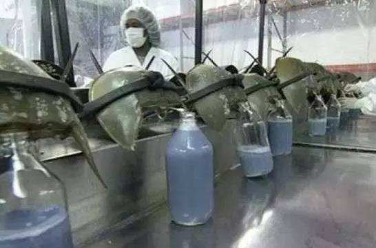 1513823298110134.jpg timg.jpg